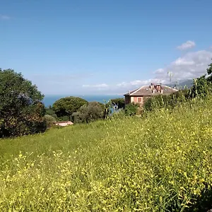 Casa Ninni Couette-café